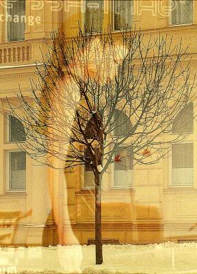 Konzumní žena - strom