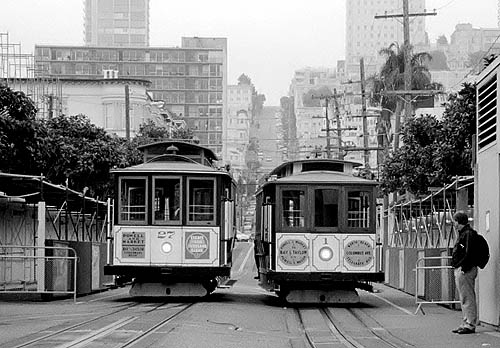 Siamská dvojčátka?