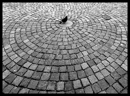 Já jsem tu králem II!