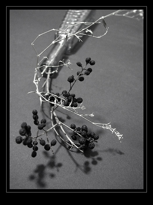 Drátkování a co z toho