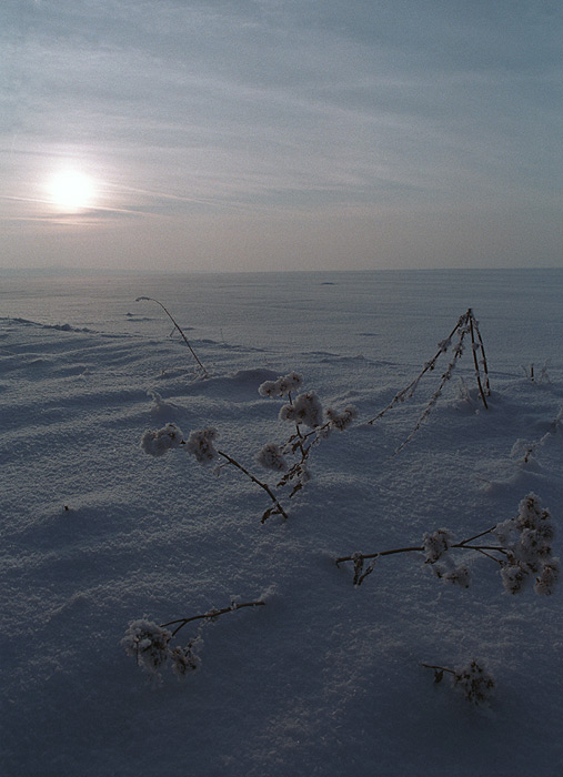 Zimni zapad Slunce