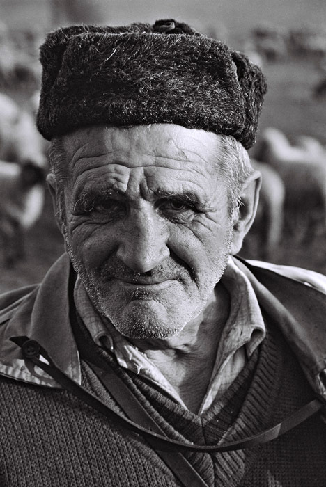 Bača