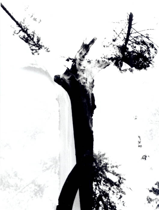 Kristus