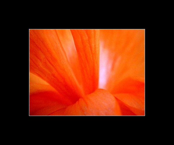 Orangé..
