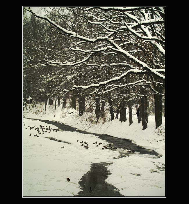 Zimní nálada na Kamenici