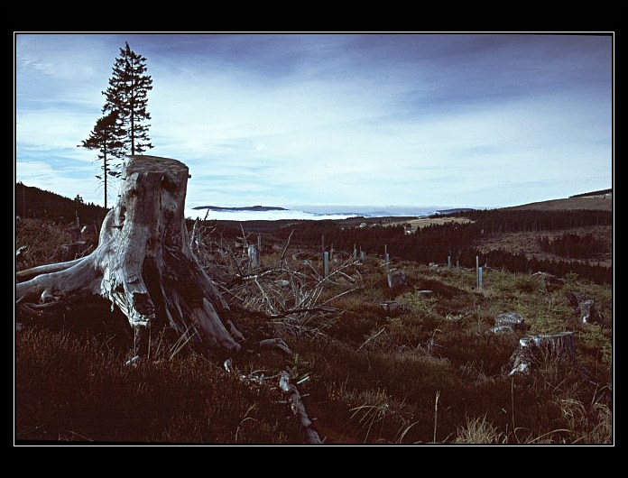 Zamračené poledne aneb pařez pro někoho tady