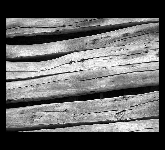 lines