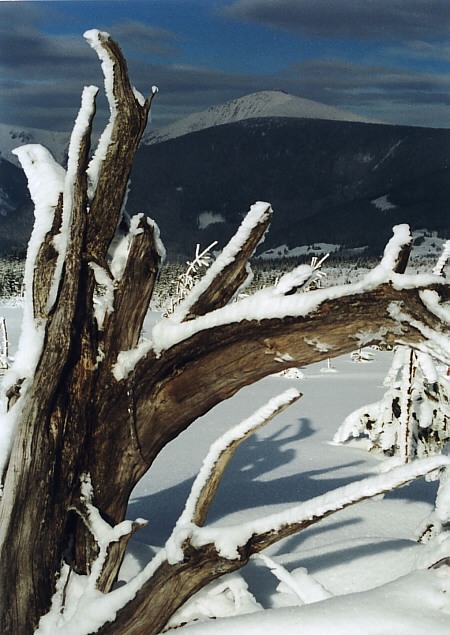 Krkonošské paseky