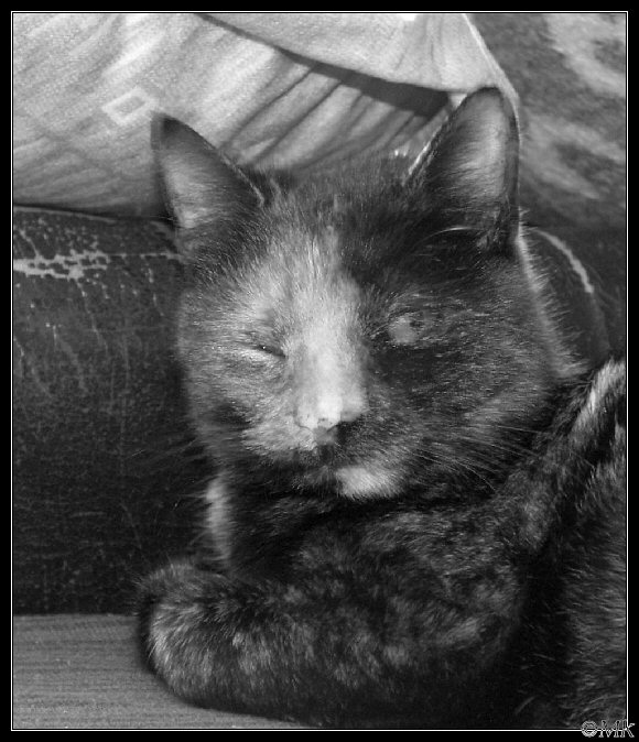 Ještě jednou a jdu spát jinam!