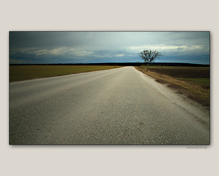 Route 66
