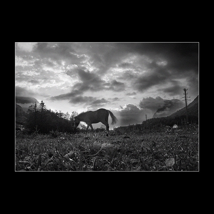 Norsko v bw <br> Zapadovka s koněm <br>serie 6/4