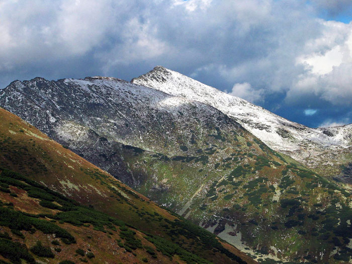 Plačlive