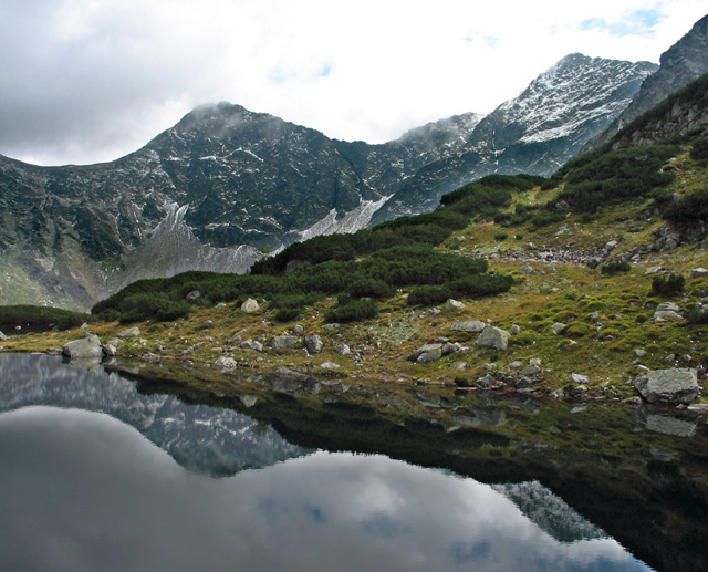 Pleso