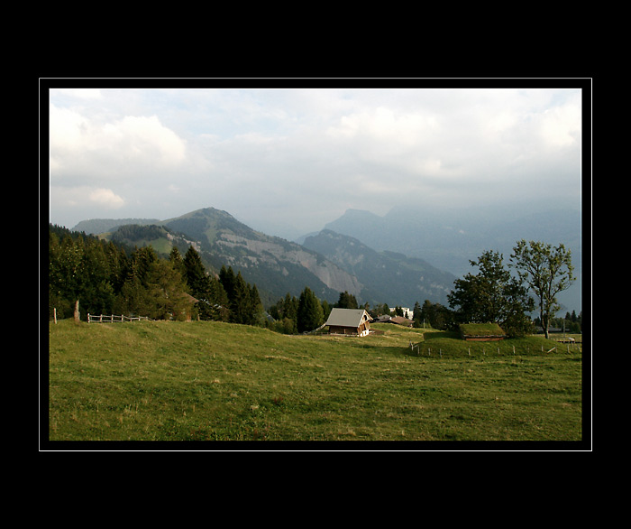 - Vierwaldstattersee IV -