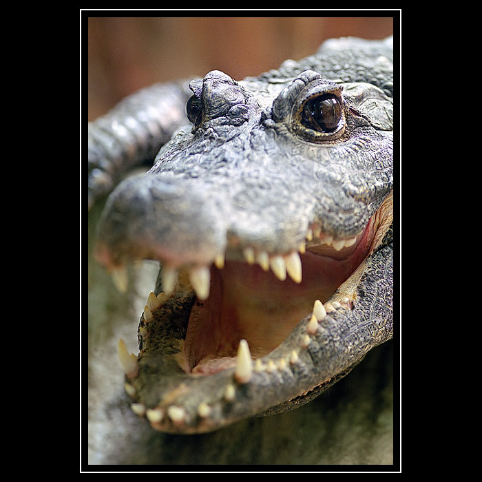 Smile :)
