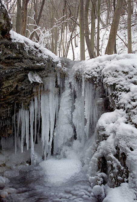 Ledové království