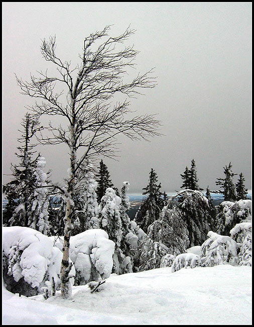 Suomi I.