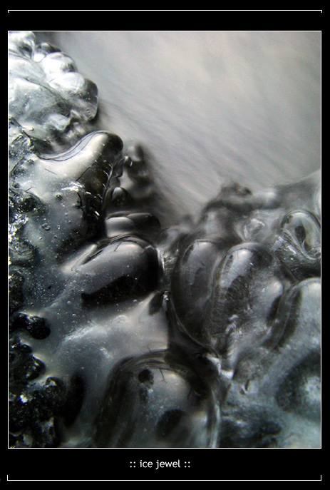 :: ice jewel ::