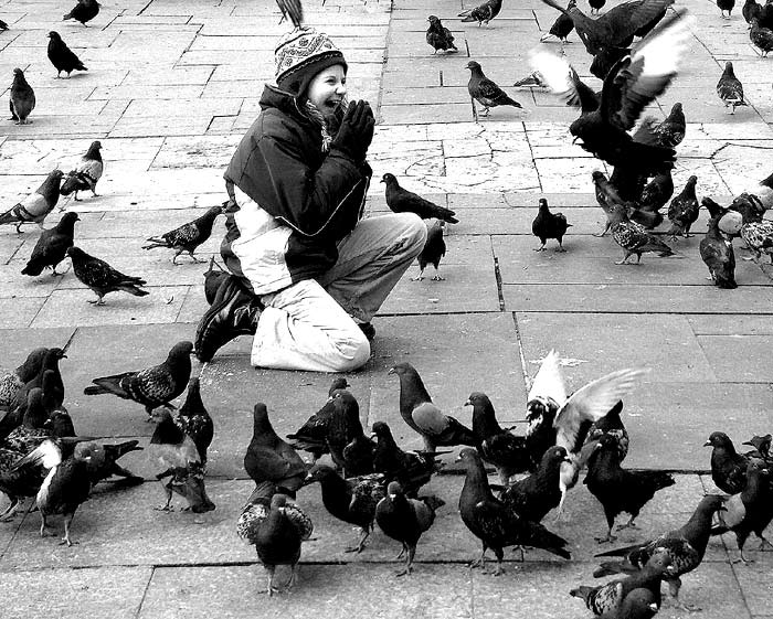 Prayer for the birds