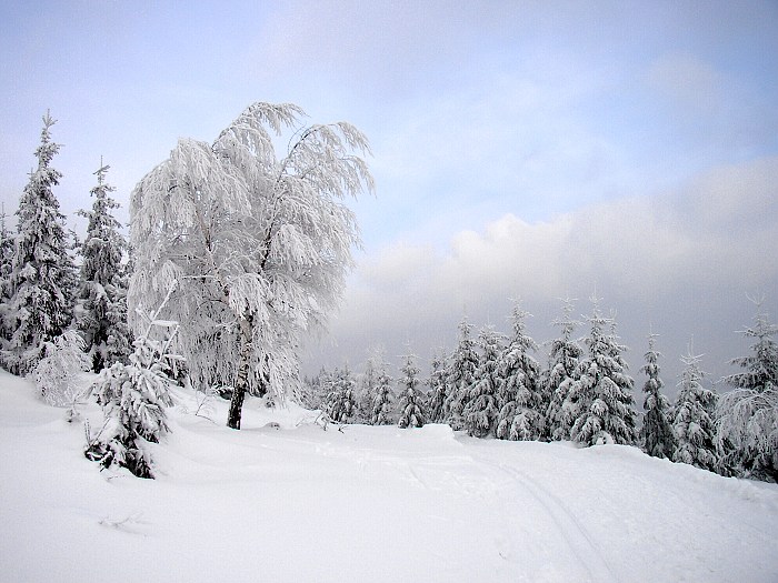 Krkonošská