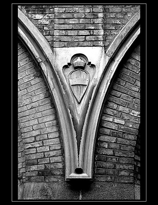 \\ V /