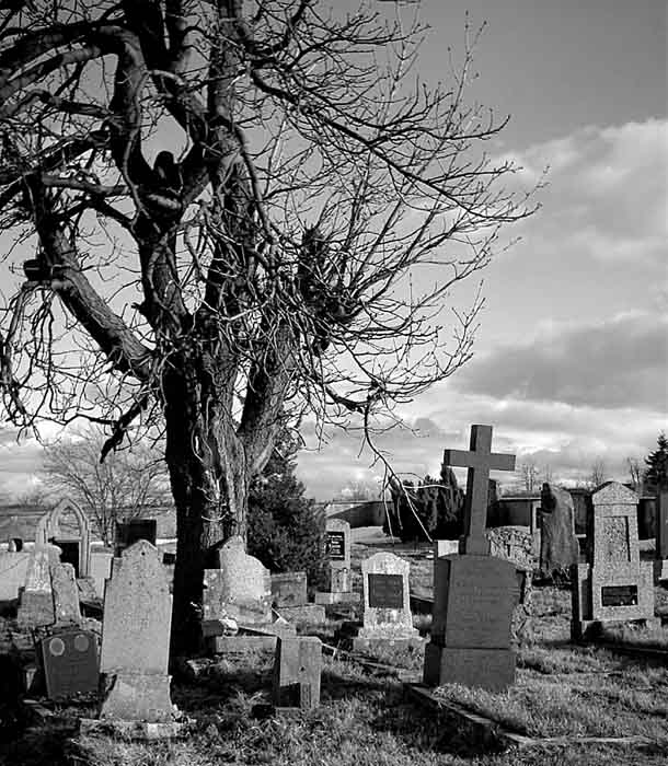 Bohem zapomenuté...