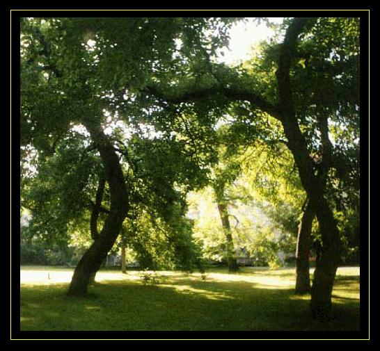 Vojanovy sady