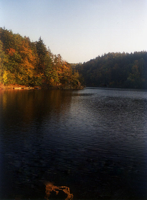 Dalesicka prehrada