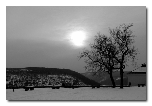 Strom a slunce