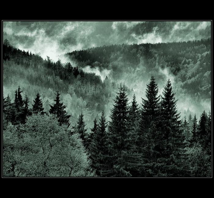 Drama v Lesním divadle