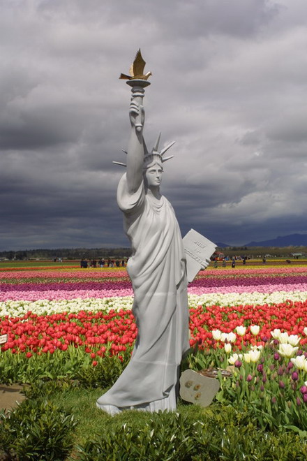 Svoboda mirem