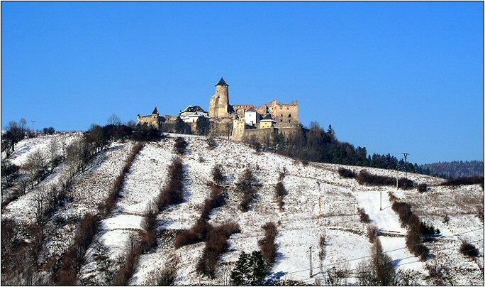 Ľubovniansky hrad