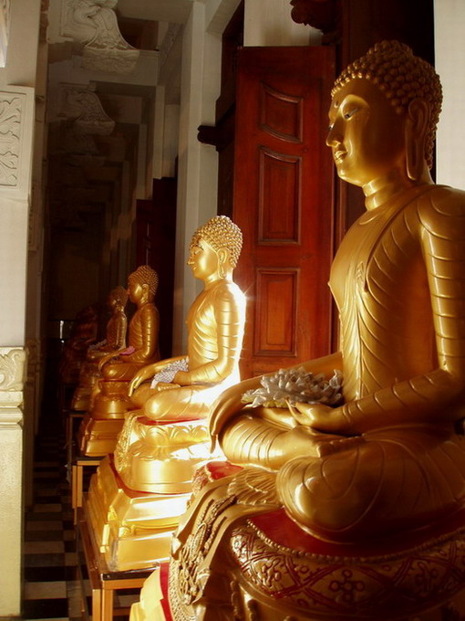 Budhovia na Sri Lanke