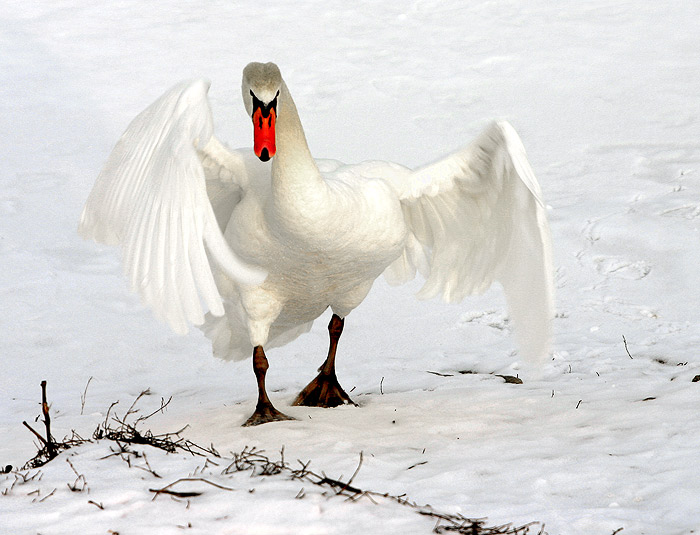 <b>A nebudeš fotit!!!</b>