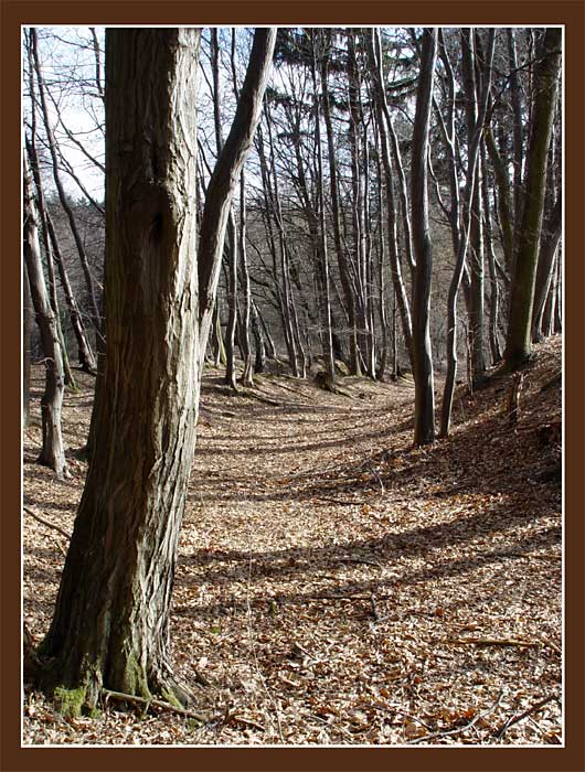 Po pruhované cestě