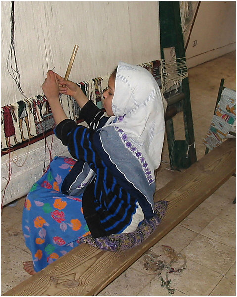 Carpet school