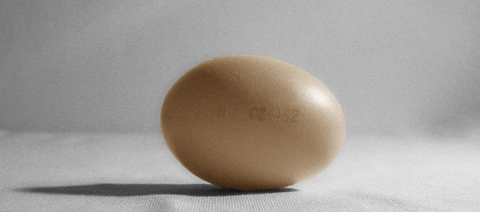 <i>Egg</i>