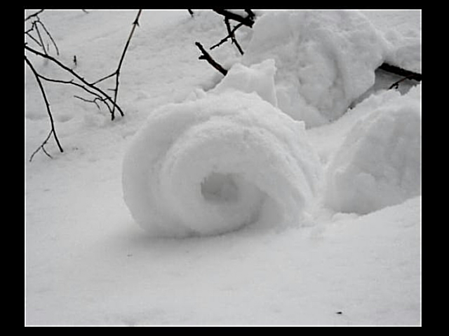 Sněhový jazýček