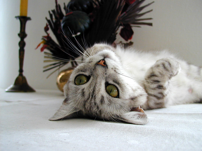 ...chci si hrát ...