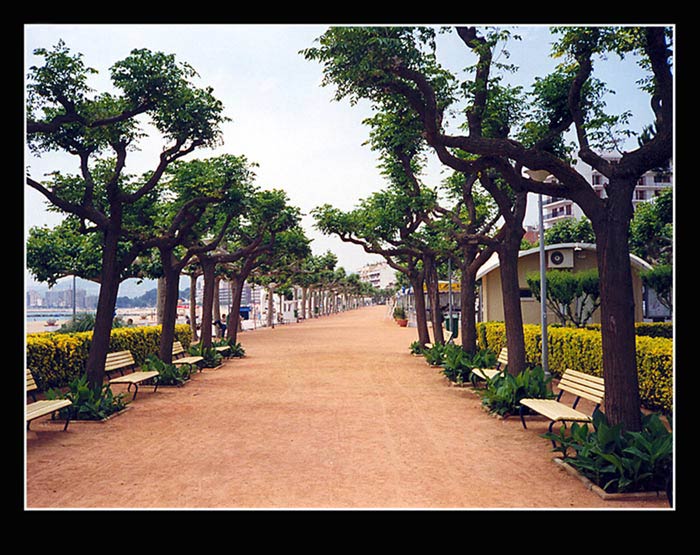 Promenáda