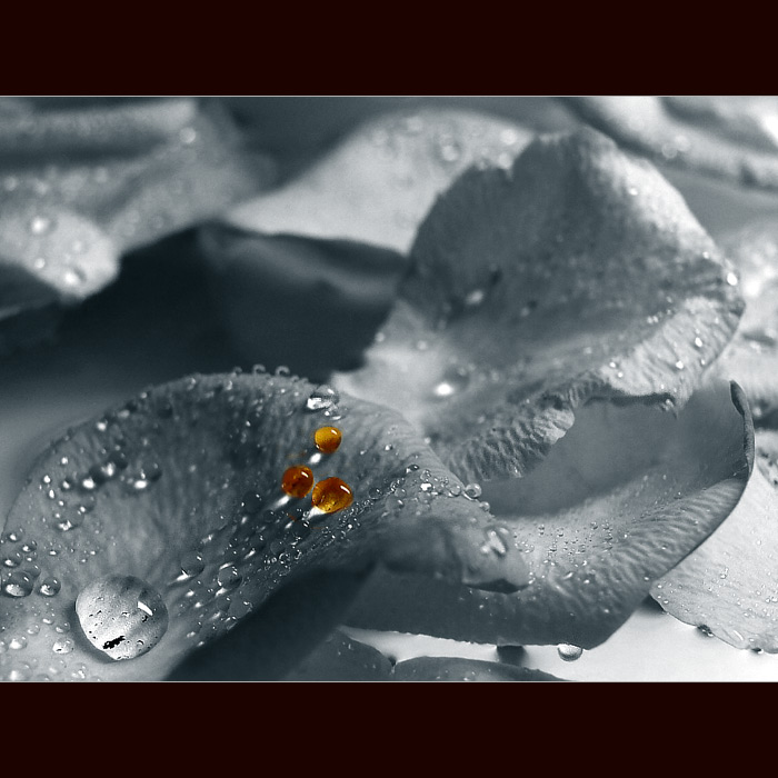 <b>... three ...</b><br>
