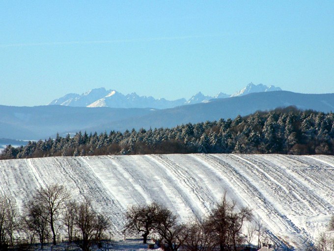 Pohladnica spod Tatier