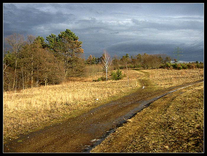 Předjaří za Modřanskou roklí II