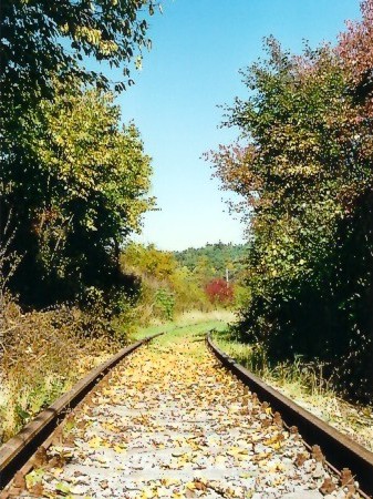 Koleje