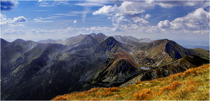 Roháče