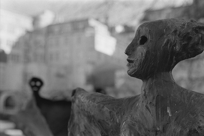 the road ahead is foggy