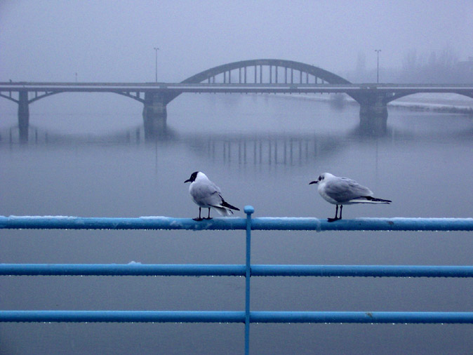 Ty ma už nemiluješ?