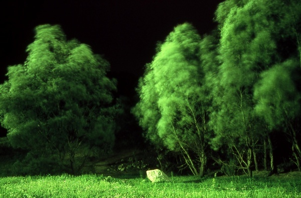 NightVision#1