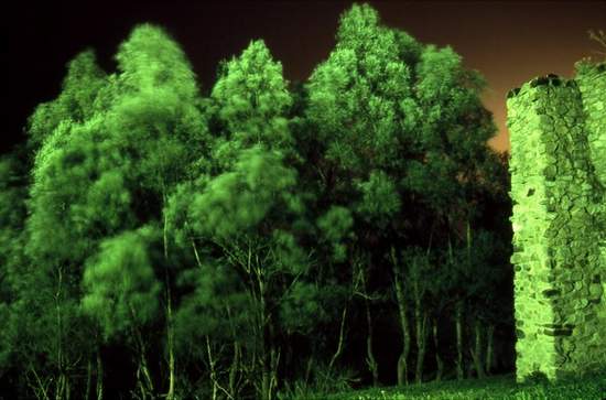 NightVision#2