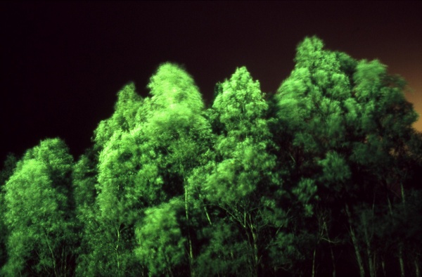 NightVision#3